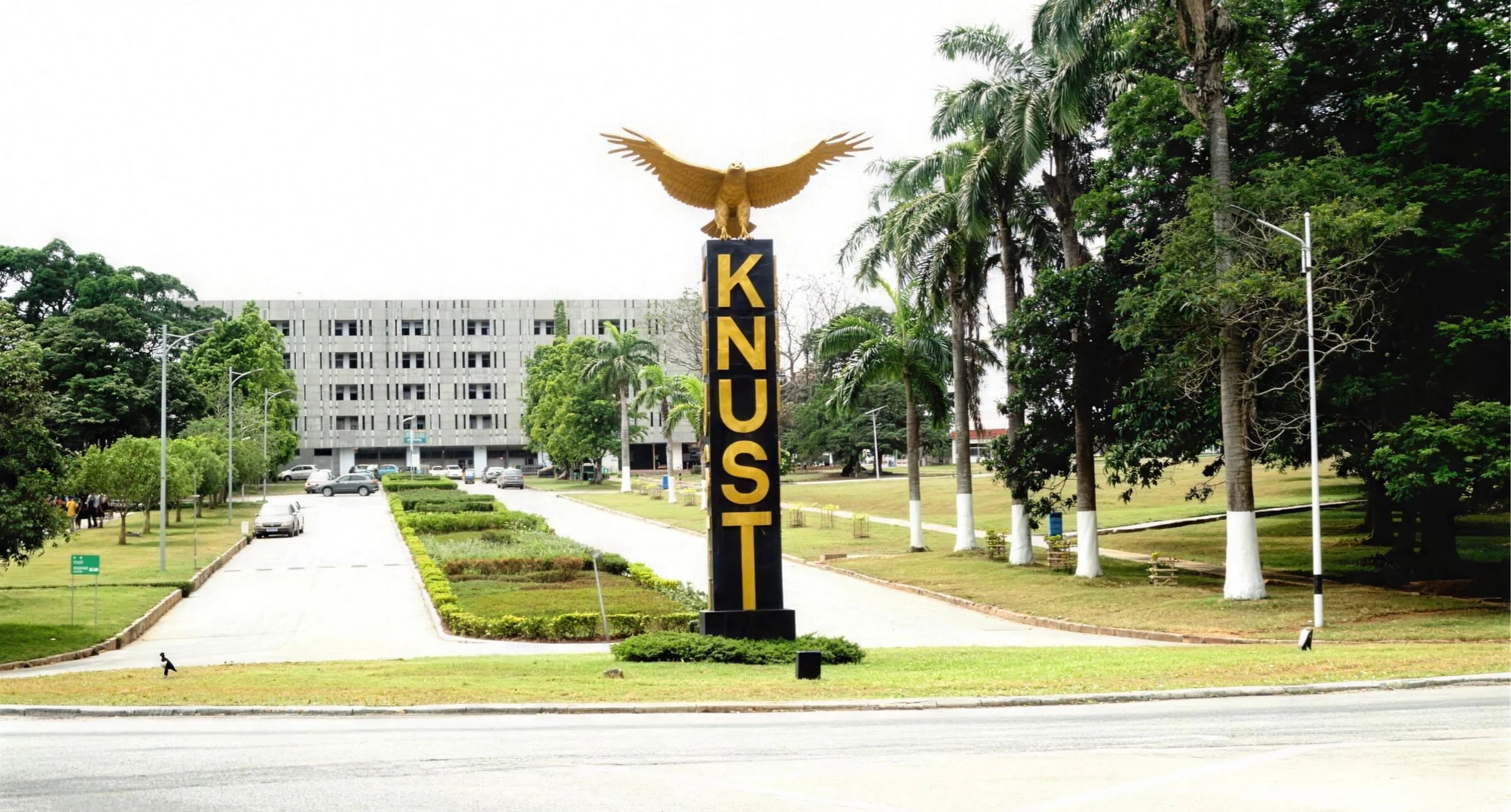 cohss knust